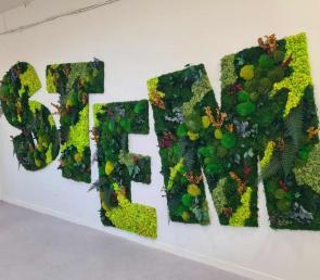 Giant moss logo - S.T.E.M. letters