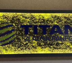 Frame with logo and preserved moss for Titan Zlatna Panega