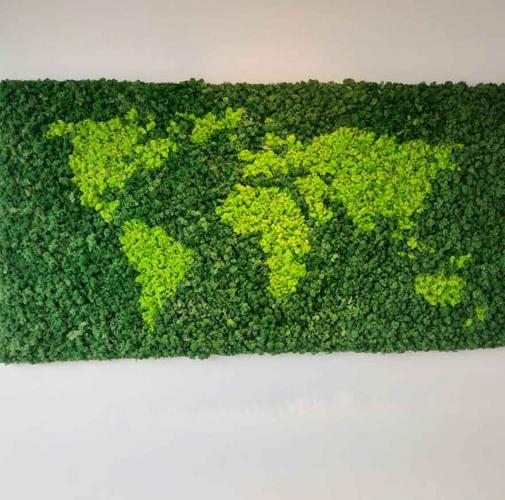 World moss map | BIOboard