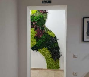 Зелена инсталация WILD в нотариална кантора