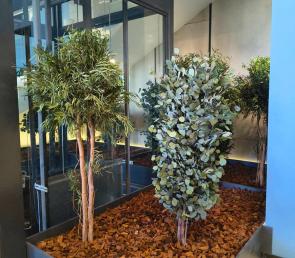 Decorative natural trees in the lobby of an office building